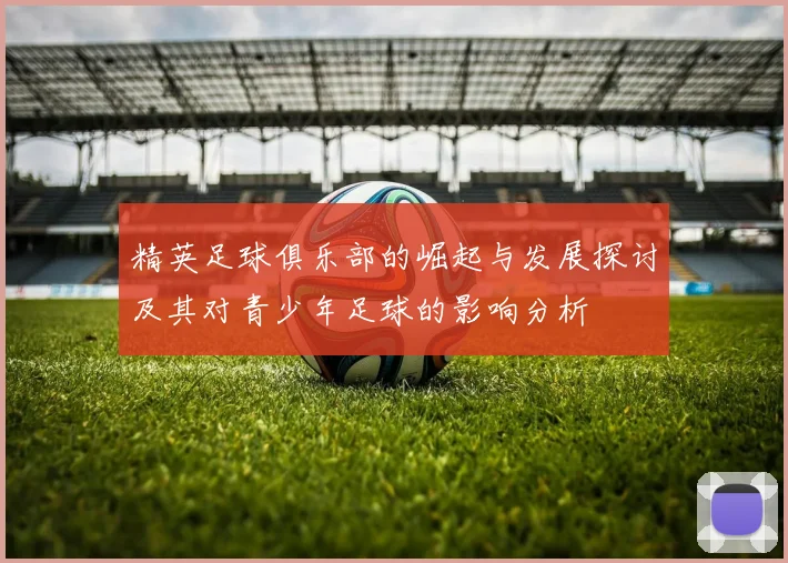 精英足球俱乐部的崛起与发展探讨及其对青少年足球的影响分析